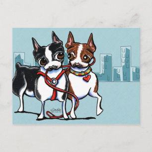 Boston Terriers Leashed Postcard
