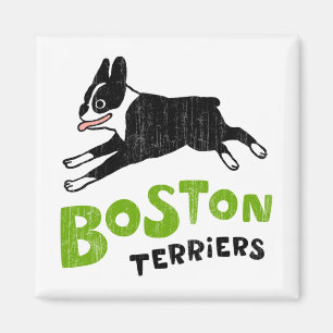 Boston Terriers Magnet