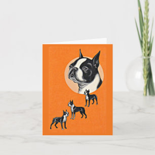 Boston terriers note card