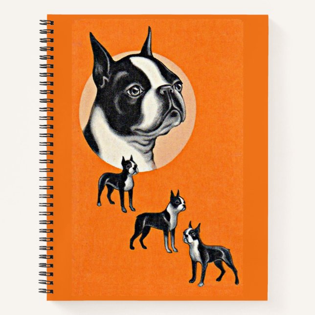 Boston terriers notebook (Front)