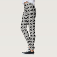 Boston Terriers Running Pattern | Cute Dog