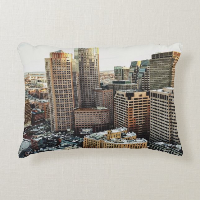 Boston view decorative cushion (Front)