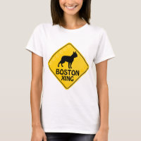 Boston Xing