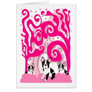 Bostons in the Pink