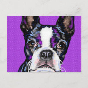 BostonTerrier Postcard