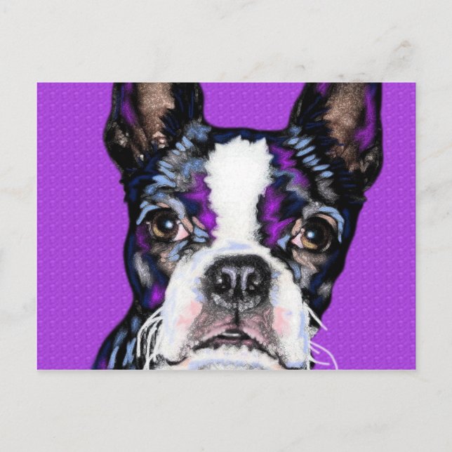 BostonTerrier Postcard (Front)