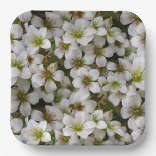 Botanic Garden White Flowers Paper Plate