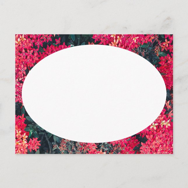 Botanic motif collage composition borders postcard (Front)