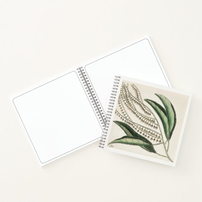 Botanical 18th Century Art Sketchbook Notebook (Inside)
