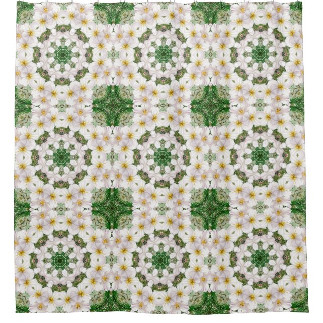 Botanical Abstract  Shower Curtain (Front)