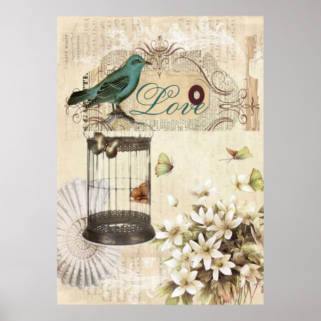 botanical art birdcage modern vintage french bird poster (Front)
