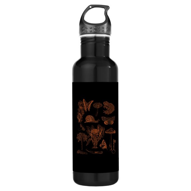 Botanical Art, Frog Fungi Goblincore Aesthetic Cot 710 Ml Water Bottle (Front)
