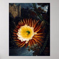 Botanical Art Temple Of Flora Night Blowing Cereus