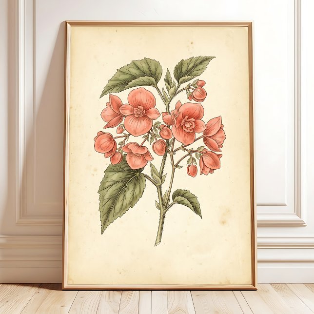 Botanical Begonia Prints - Canvas Art (Creator Uploaded)