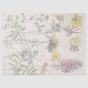 Botanical Birdsfoot Wildflower Flower Tissue Paper