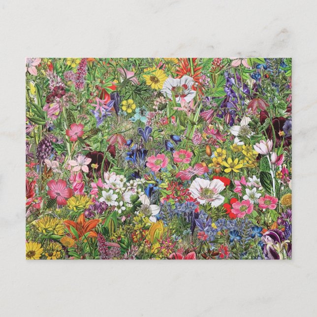 Botanical Bloom Nature Wildflower Holiday Postcard (Front)