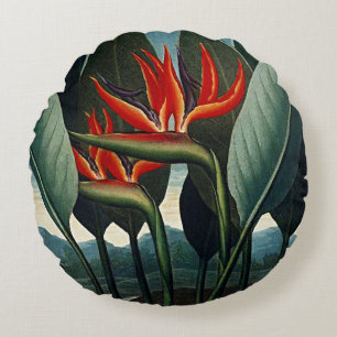 Botanical Blooms Bird Of Paradise Cushions