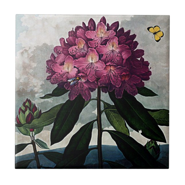 Botanical Blooms The Rhododendron Ceramics Tile (Front)