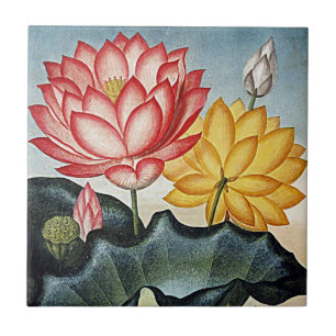 Botanical Blooms Tropical Flowers Ceramics Tile