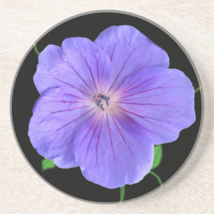 Botanical Blue Geranium Flower on any Colour Coaster