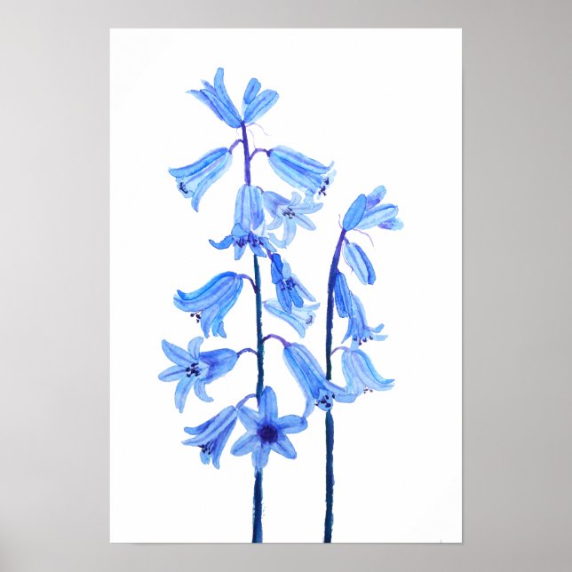 Botanical bluebells flower watercolor poster (Front)