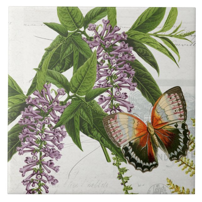 Botanical Butterfly Purple Wisteria Vintage 1 Tile (Front)