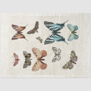 Botanical Butterfly Vintage Blue Peach Decoupage Tissue Paper