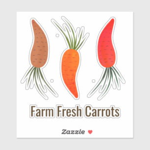 Botanical Carrots Collection