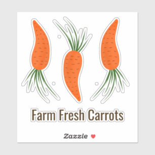 Botanical Carrots Collection 