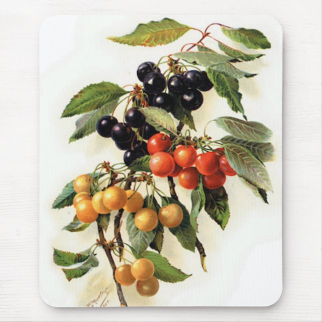 Botanical Cherries Print Mouse Pad (Front)