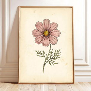Botanical Cosmos Wall Art Print