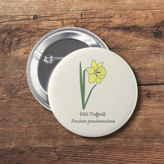 Botanical Daffodil Pastel Flower  6 Cm Round Badge (Botanical Daffodil Button)