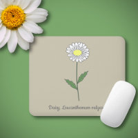Botanical Daisy Pastel Flower 