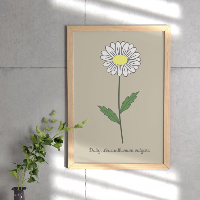 Botanical Daisy Pastel Flower  Poster (Botanical Daisy Flower Poster)