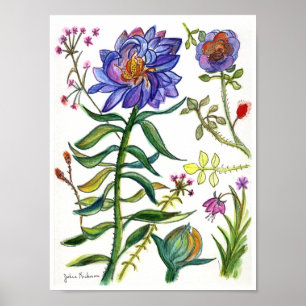 Botanical Drawing of Wonderful Blue Flower Poster