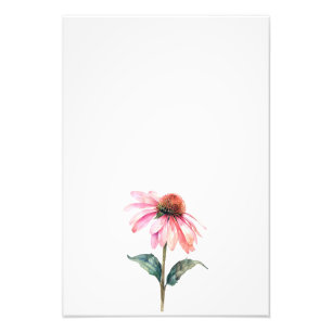 Botanical Echinacea Watercolor Art Print-Stage1 Photo Print