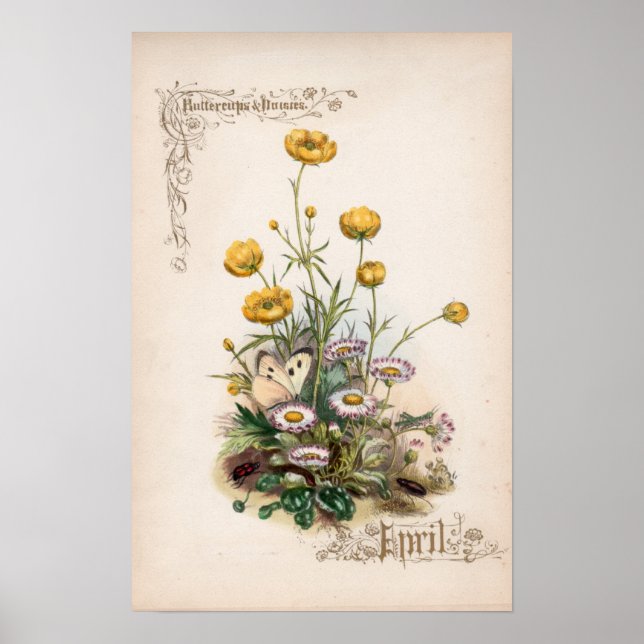 Botanical Engravings, April Poster (Front)