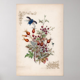 Botanical Engravings, November Poster