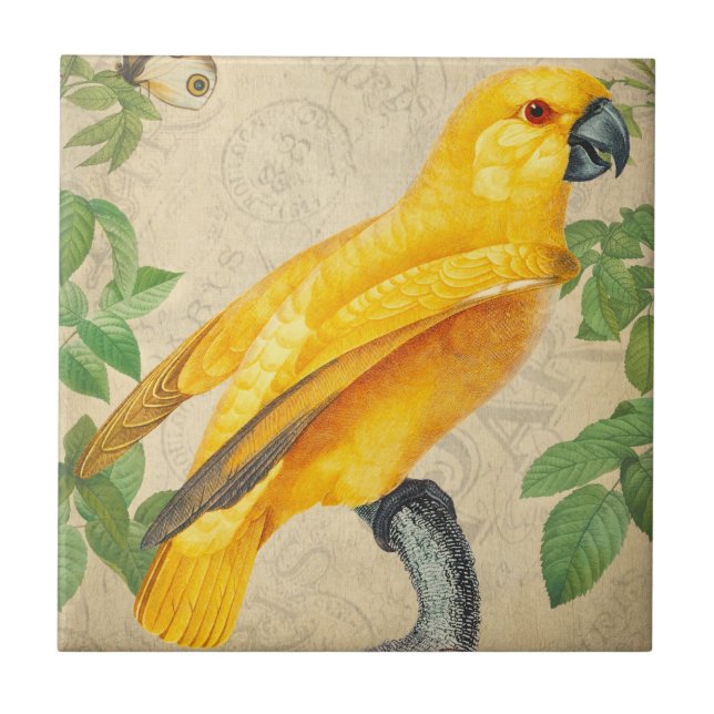 Botanical Exotic Wildlife Yellow Jungle Parrot Tile (Front)