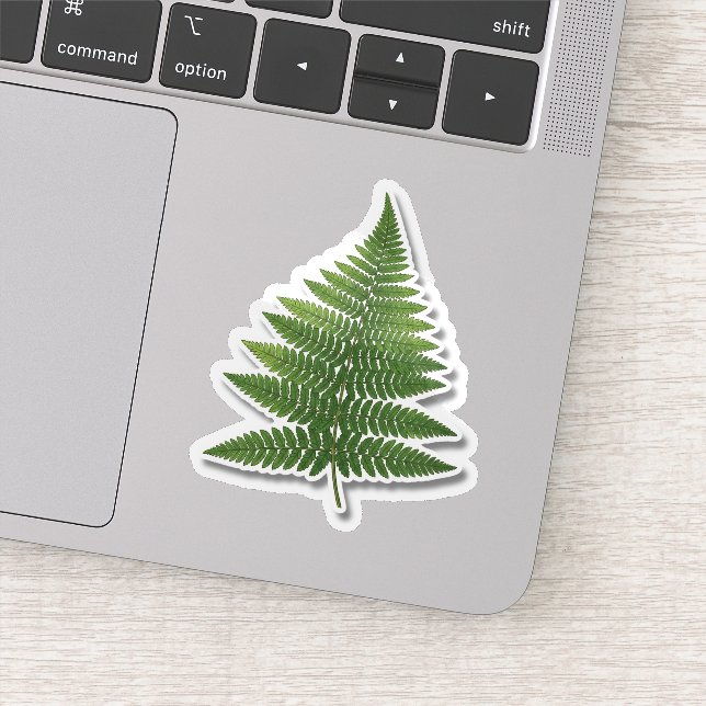 Botanical Fern Leaf Sticker - Nature Green Plant  (Detail)