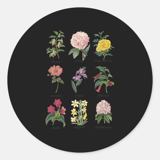 botanical floral flower classic round sticker (Front)
