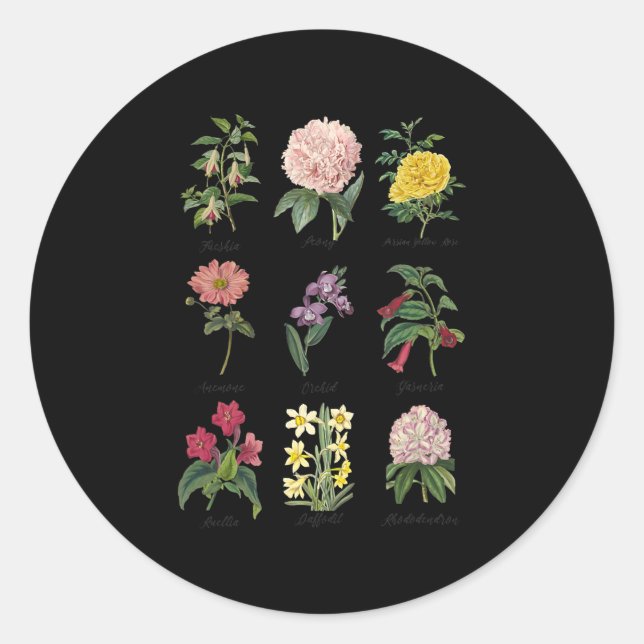 botanical floral flower classic round sticker (Front)