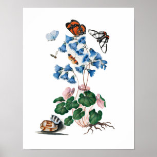 botanical floral posters