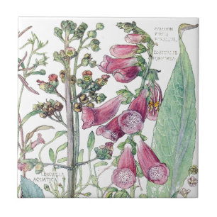 Botanical Foxglove Wildflower Flowers Tile