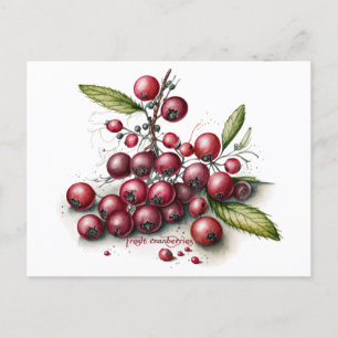 Botanical Fresh Cranberries Postcard