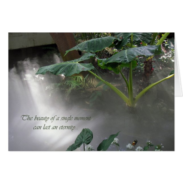 Botanical Garden (Front Horizontal)