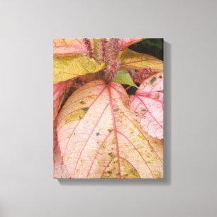 Botanical Garden Art Canvas Print