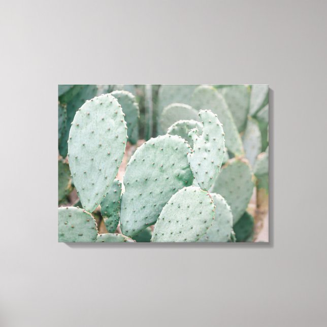 Botanical Garden Cactus Canvas Print (Front)