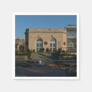 Botanical Gardens at Christmas in Washington DC Napkin
