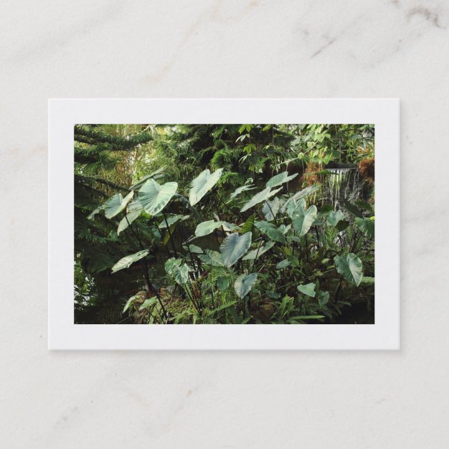 Botanical Gardens (Bordered) Business Card (Front)